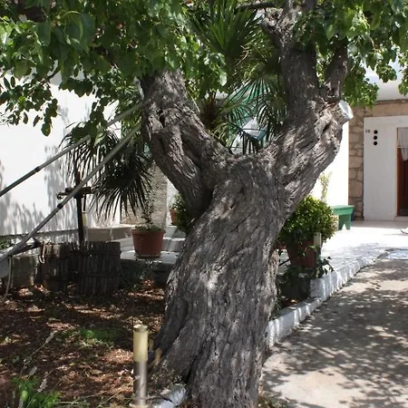 By The Sea Kali, Ugljan - 8269 Appartement